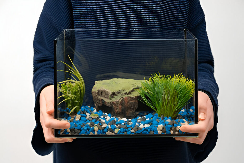 small pethome fish tank