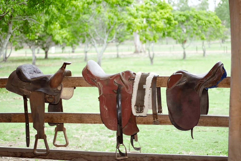 Are Australian Saddles Less Likely to Hurt a Horse’s Back?