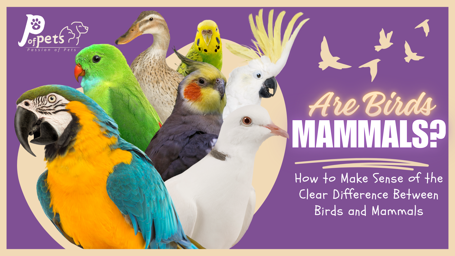 Are Birds Mammals?