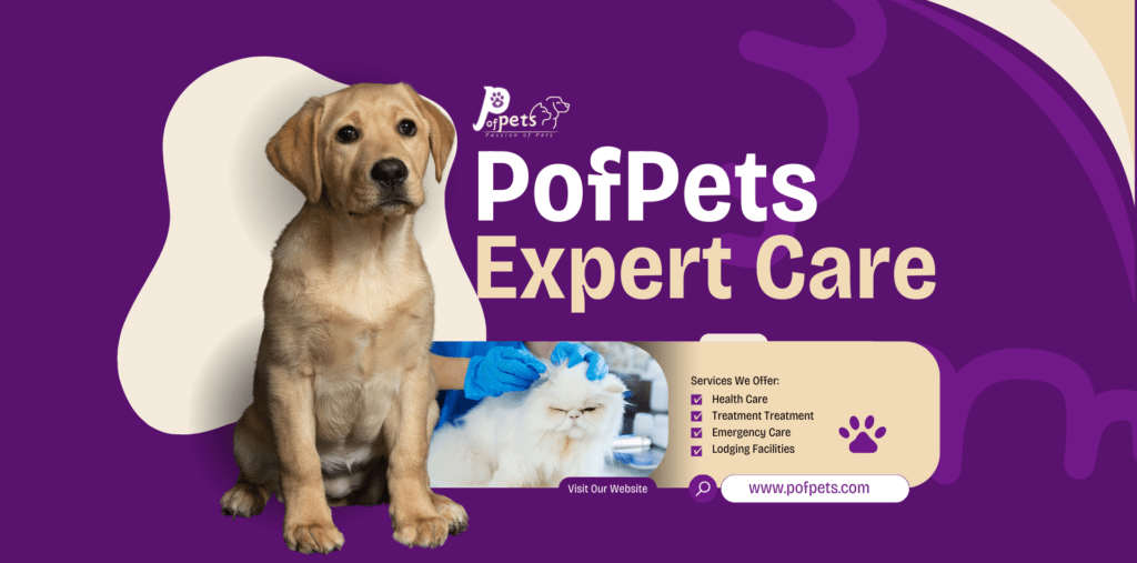 pofpets expert care