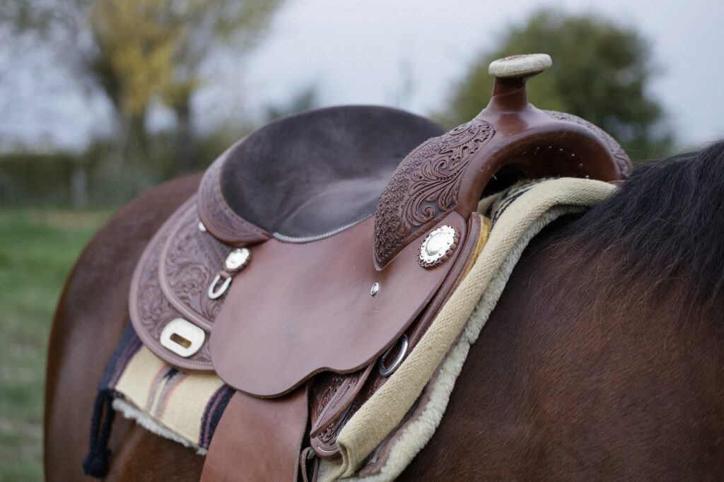 Are Australian Saddles Less Likely to Hurt a Horse’s Back?