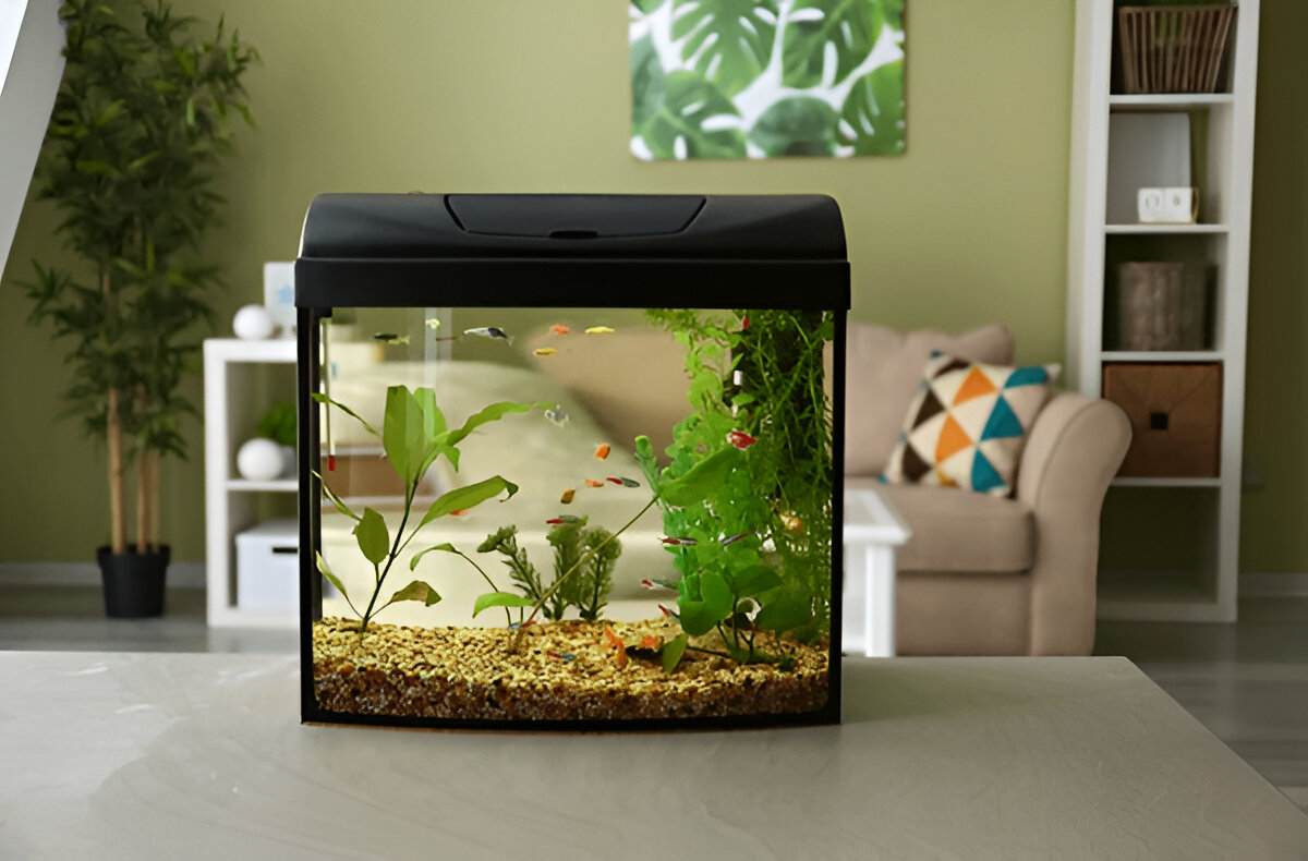 Pets at Home Fish Tanks