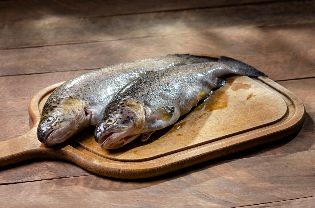 Fresh whole trout 