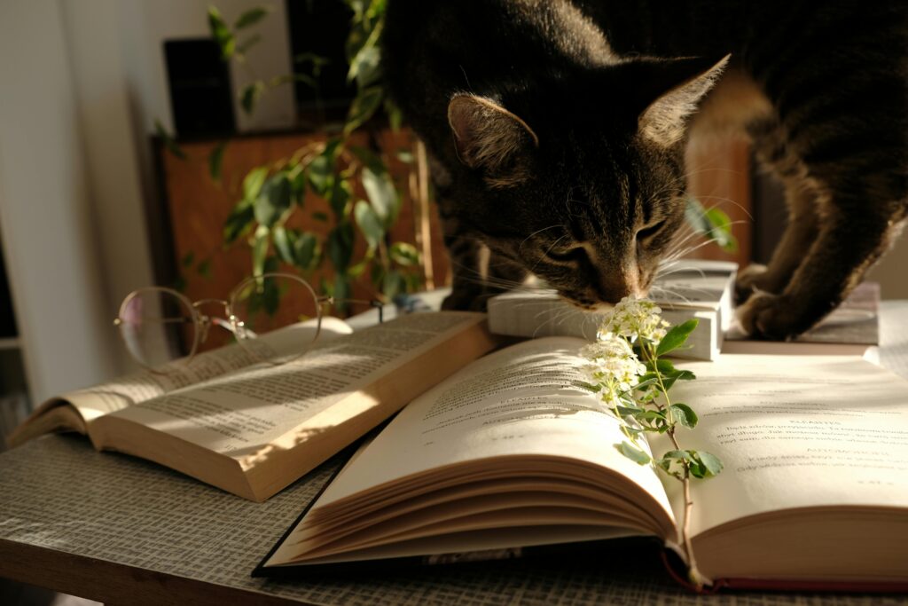 A curious cat investigates open books on a sunny table at home, exploring literature.