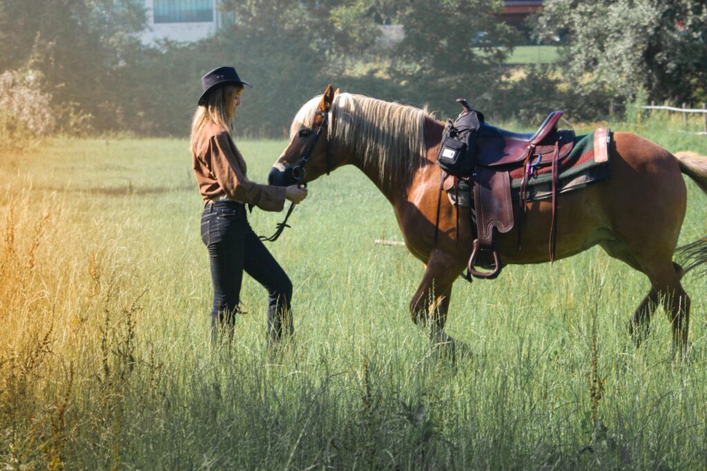 saddled horse through a sunny, 