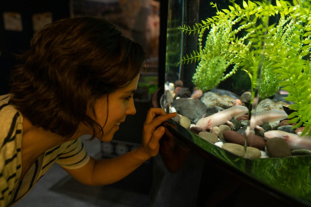 Close-up of a woman smiling and pointing at aquatic plants inside an aquarium.