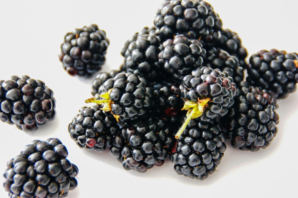 fresh blackberries on a white background, 