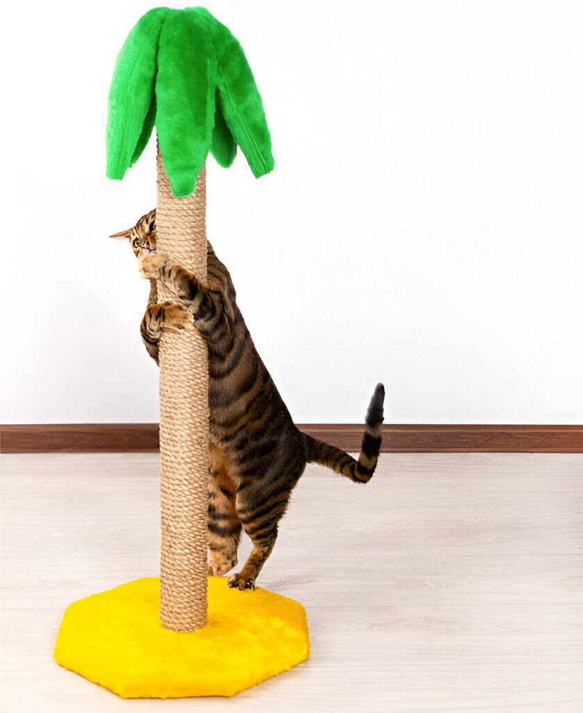 Sufficient Scratching Posts: Protecting Furniture While Promoting Natural Behavior