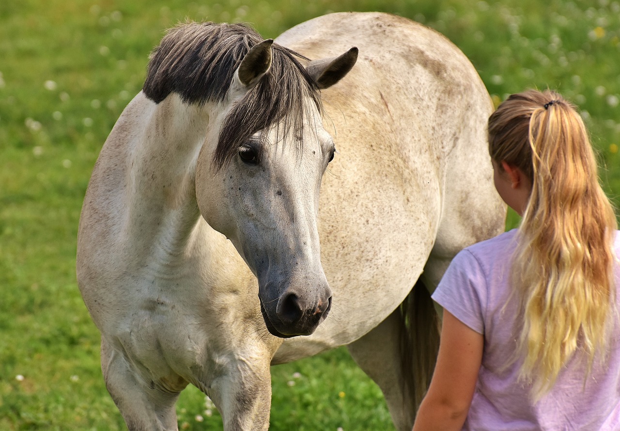 Best Horse Breeds for Beginners