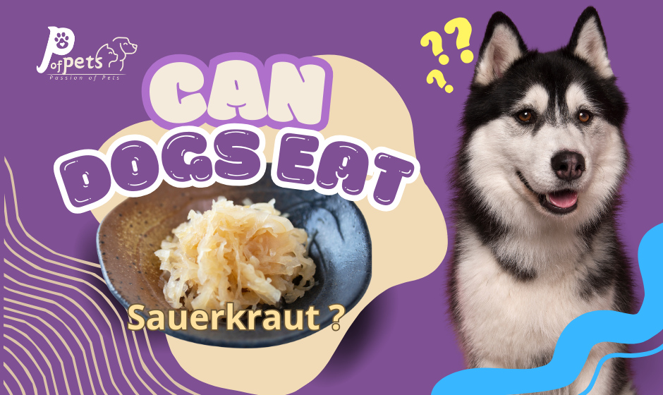 Can Dogs Have Sauerkraut