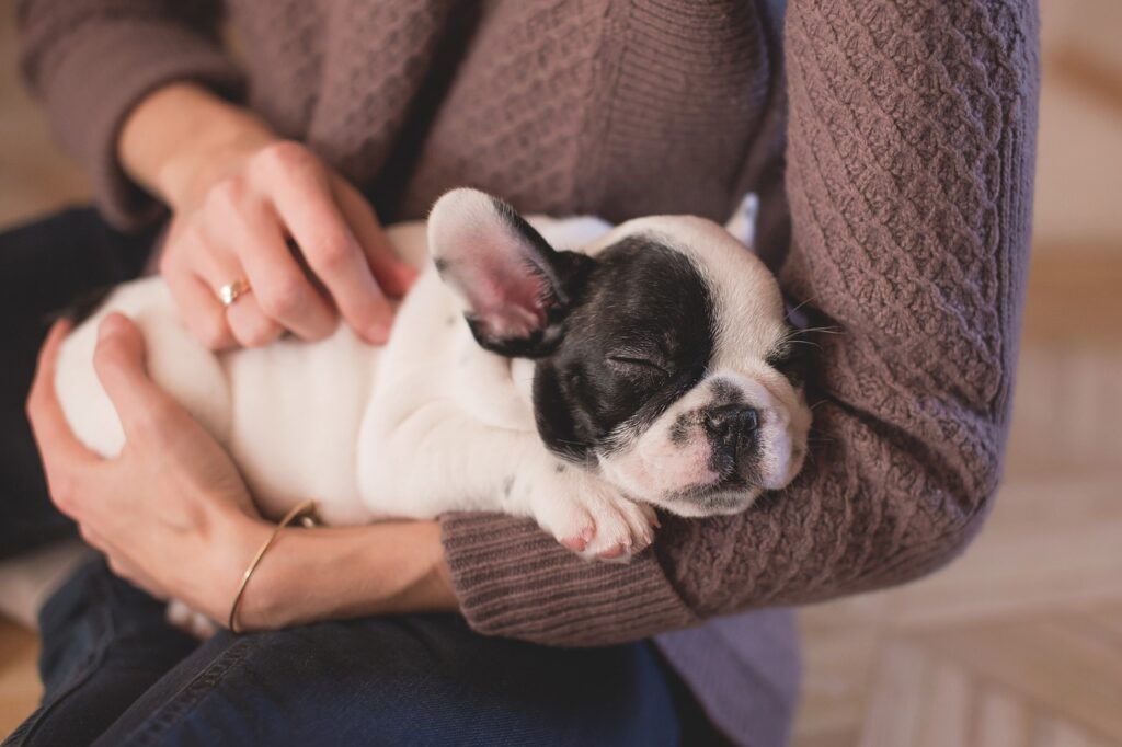 Do Puppies Breathe Fast When Sleeping 