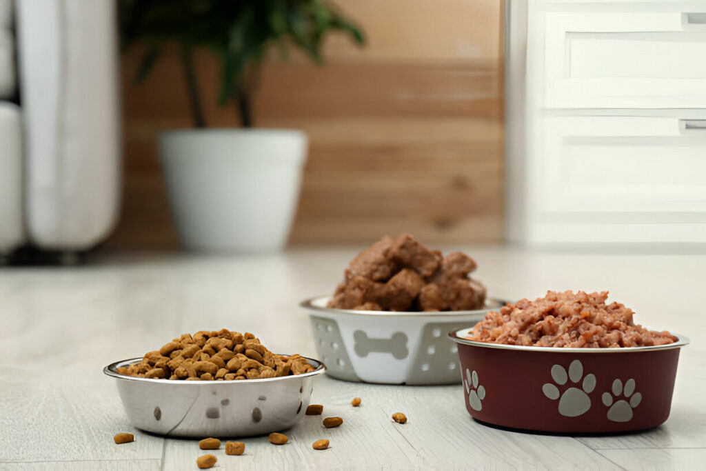 Dry Food vs Wet Food for Cats