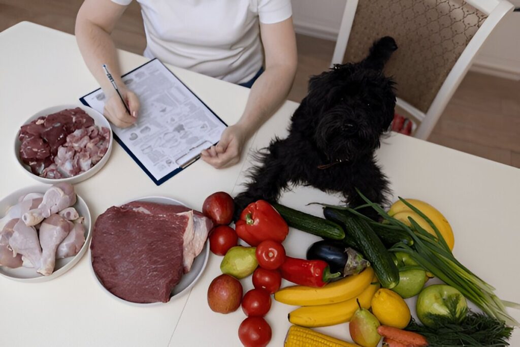 How to Make Healthy Pet Food for Dogs