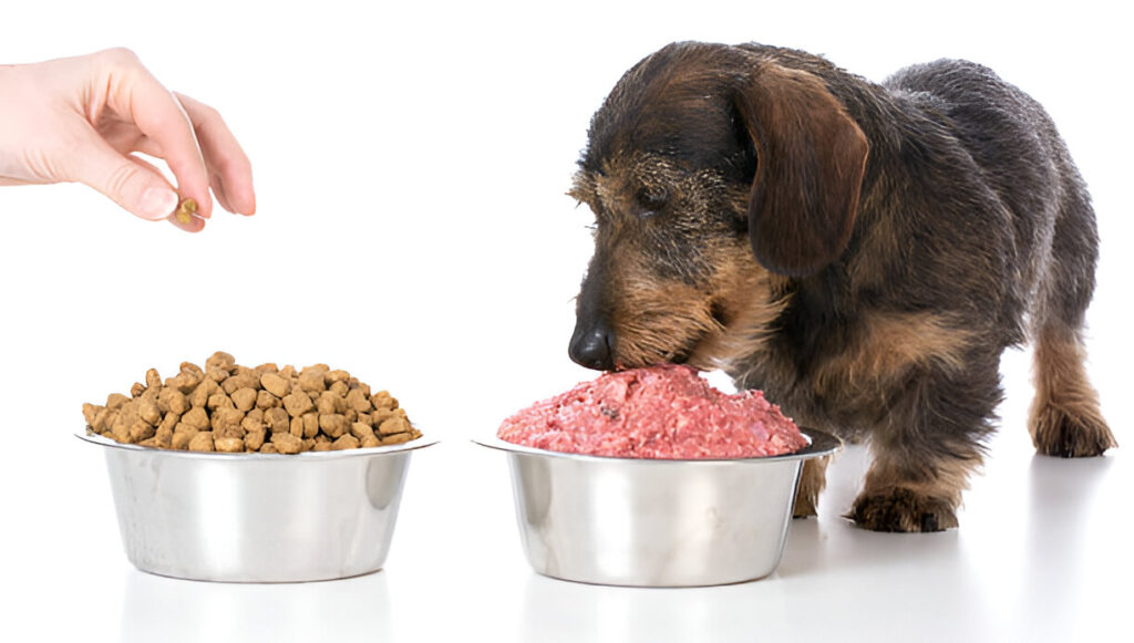 How to Make Healthy Pet Food for Dogs