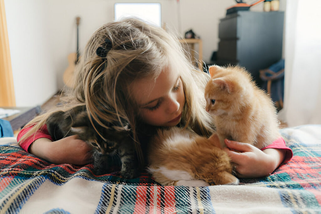 How to take care of a cat for kids ? 