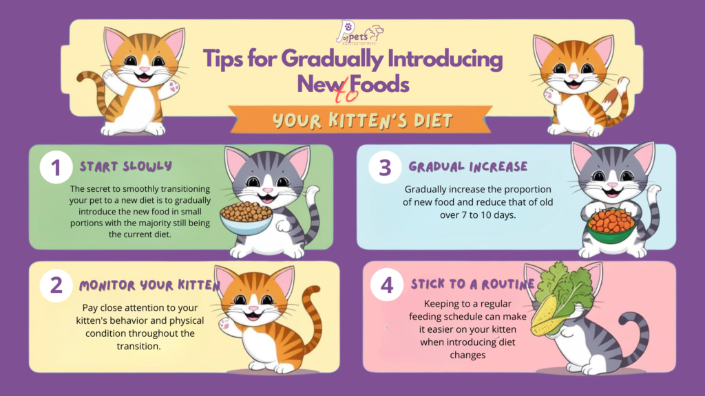 Can Kittens Eat Adult Cat Food? , Tips for Gradually Introducing New Foods to Your Kitten’s Diet