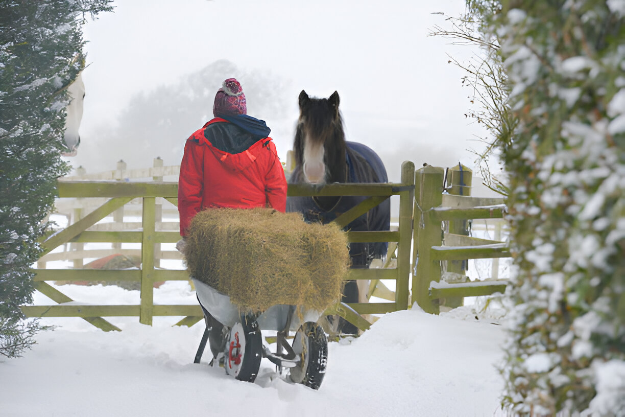 What should be fed to your horse in the winter to keep them warm