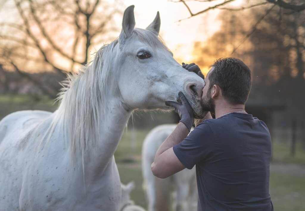 The Role of Veterinary Care in Preventing and Treating Nutritional Deficiencies and Dehydration