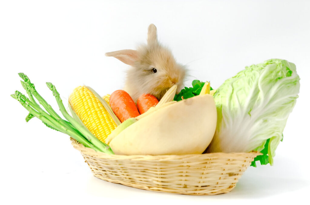 can rabbits eat asparagus , rabbite and vegitebales