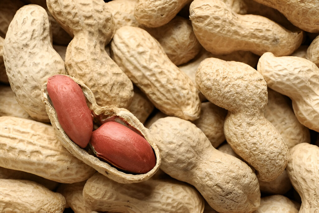 peanuts 