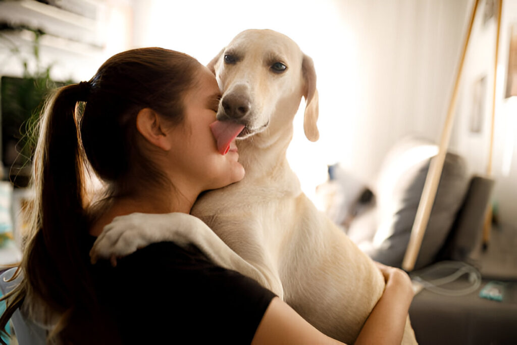 what does it mean when a dog licks you