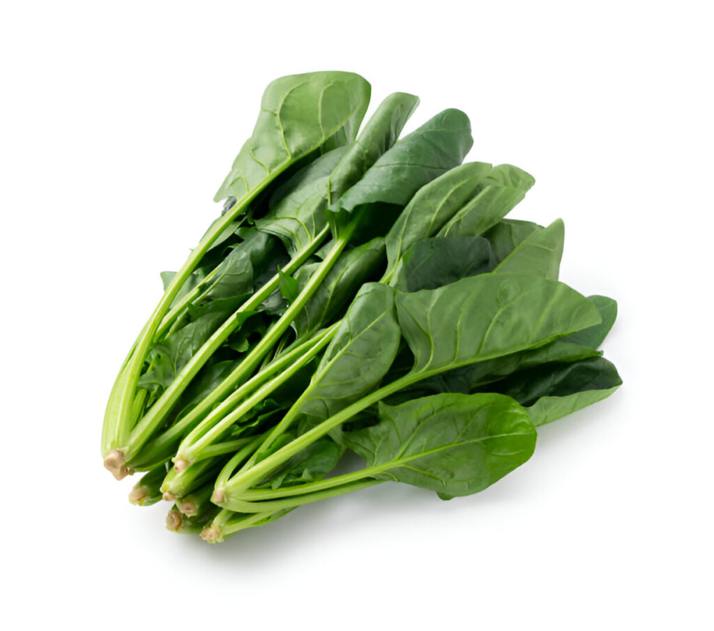 what green vegetables are good for dogs , spinach