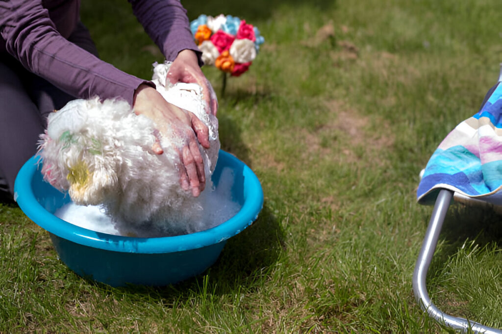 what size is a 4 month old bichon puppy