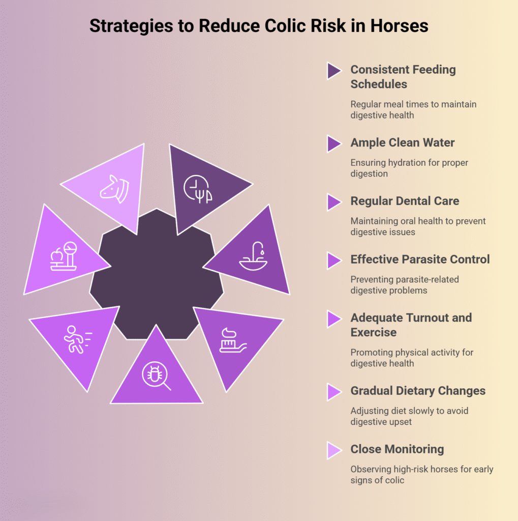 Infographic listing 7 key strategies to reduce colic risk in horses: consistent feeding schedules, ample clean water, regular dental care, effective parasite control, adequate turnout and exercise, gradual dietary changes, and close monitoring of high-risk horses