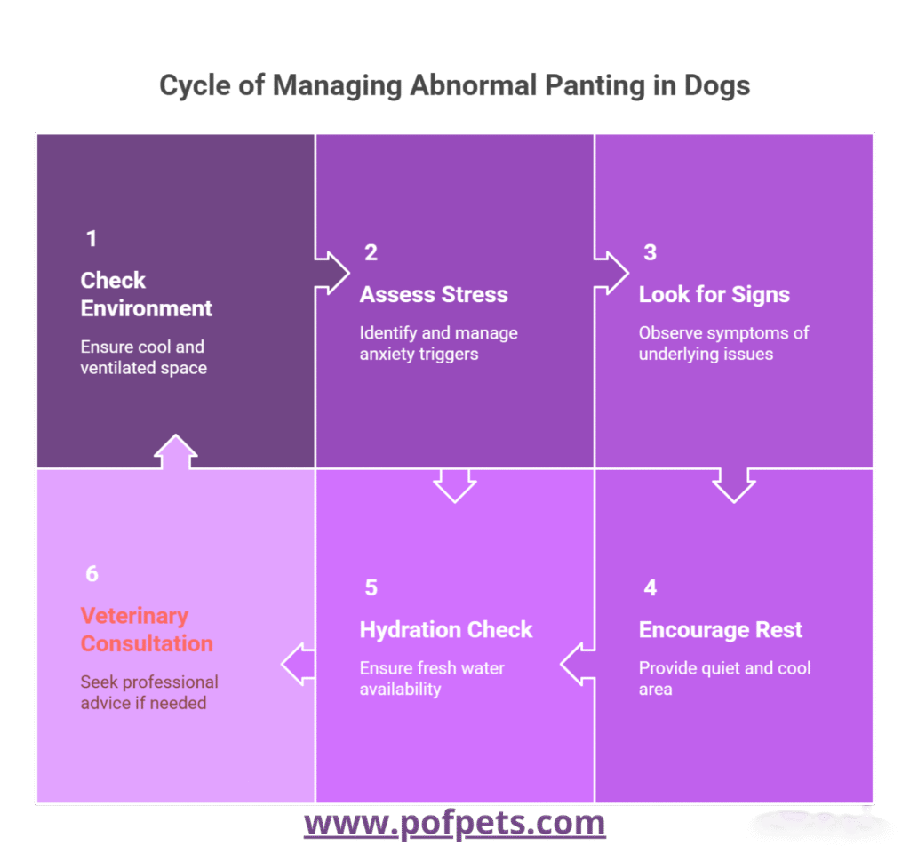 A flowchart titled "Cycle of Managing Abnormal Panting in Dogs" outlines a step-by-step process for addressing potential Dog Lethargy Symptoms or related issues. The chart includes six key steps:
Check Environment : Ensure the dog is in a cool and ventilated space.
Assess Stress : Identify and manage anxiety triggers.
Look for Signs : Observe symptoms of underlying issues.
Encourage Rest : Provide a quiet and cool area for the dog to rest.
Hydration Check : Ensure fresh water availability.
Veterinary Consultation : Seek professional advice if needed.
The flowchart uses arrows to connect the steps, emphasizing a cyclical approach to managing abnormal panting and promoting overall well-being in dogs. The website "www.pofpets.com " is displayed at the bottom.