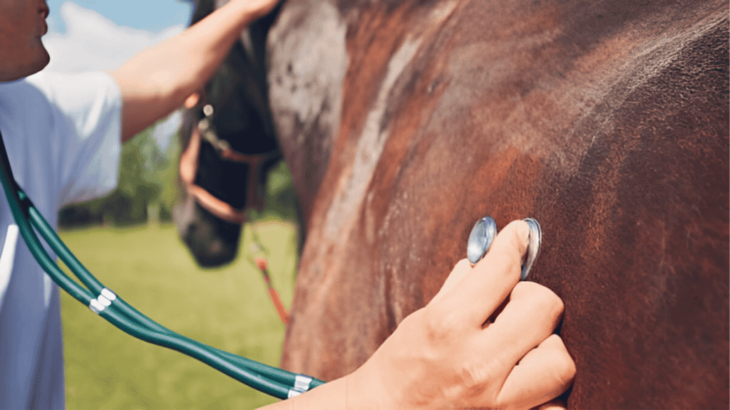 How to Treat Colic in Horses